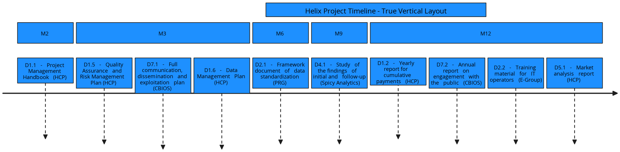 Helix Project Timeline - True Vertical Layout | Blocks And Arrows