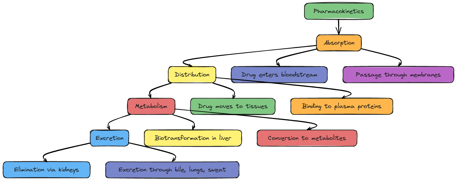 Pharmacokinetics ADME Flowchart | Blocks And Arrows