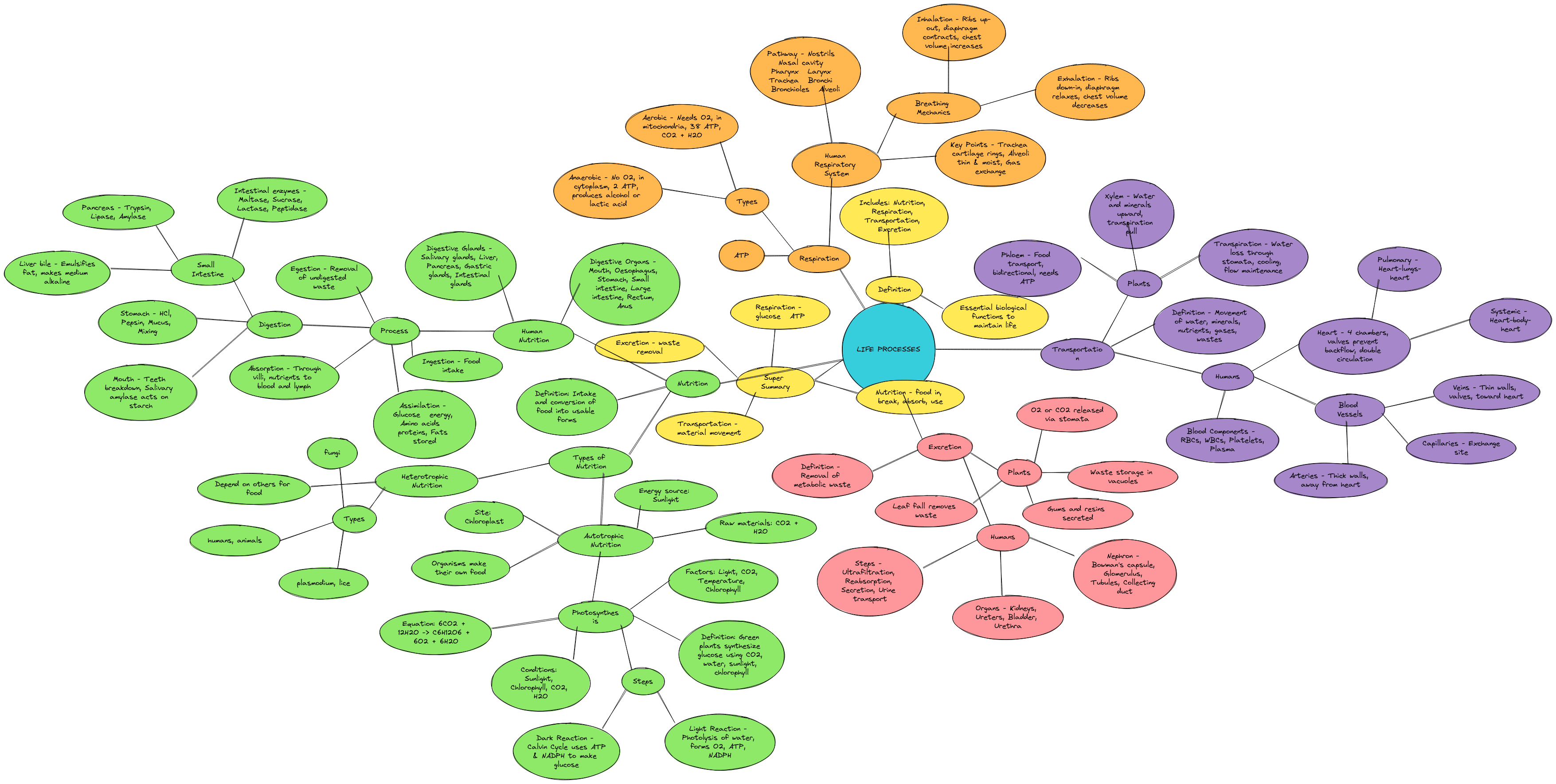Life Processes — Finalized Ultra-Detailed Mind Map | Blocks And Arrows