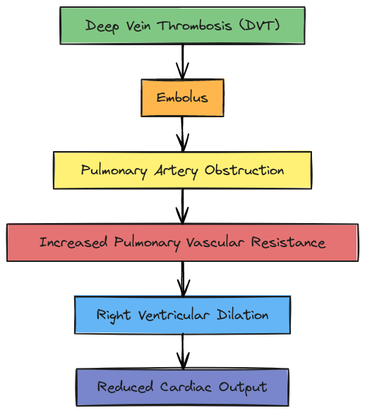 Pathophysiology of Pulmonary Embolism (PE) | Blocks And Arrows